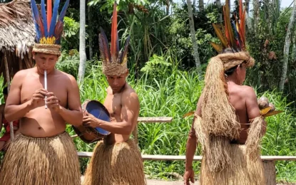 ¿Cuál es la mejor época para visitar el Amazonas peruano?