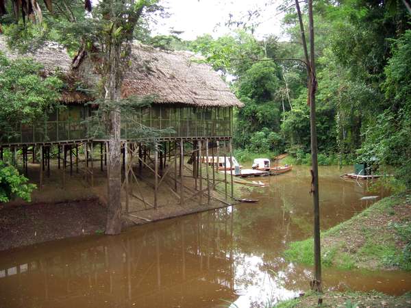 explorama basico
